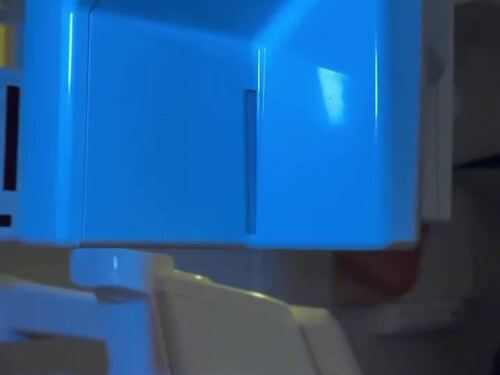 Your Dentist