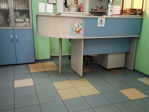 Большая медведица 1