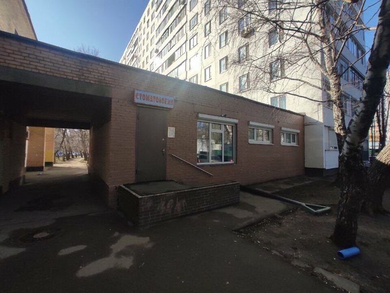 Большая медведица 1