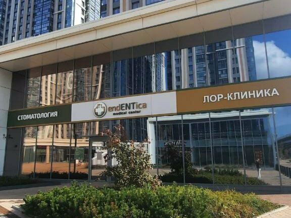 Эндентика