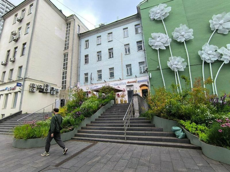 Дента Ви