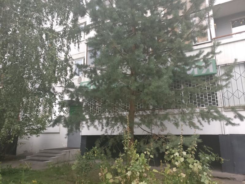 Элита