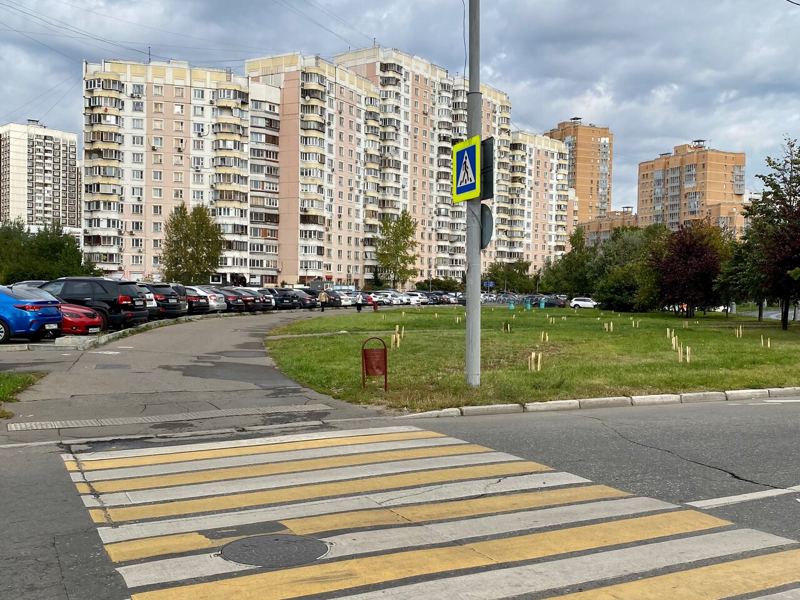 Ортосмайл