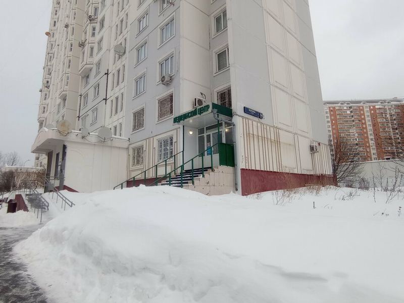 Золотая орхидея