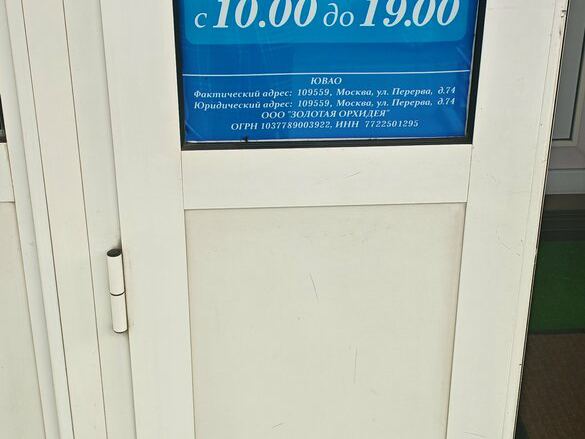 Золотая орхидея