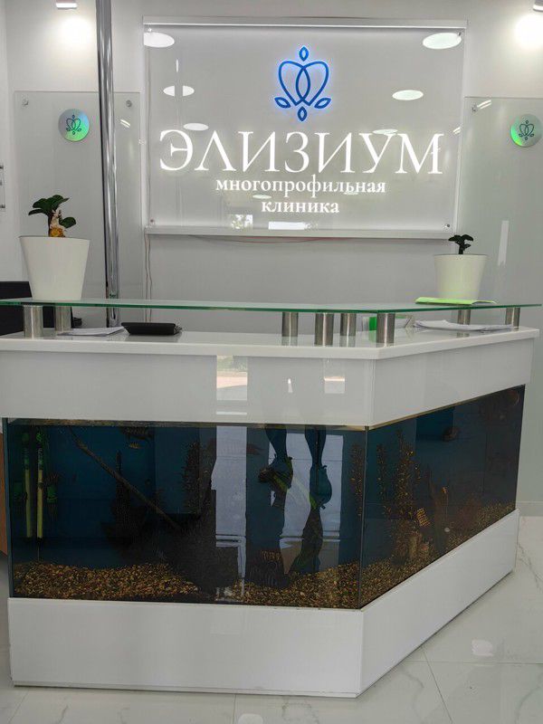 Элизиум