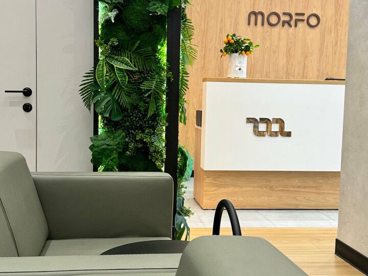 Morfo