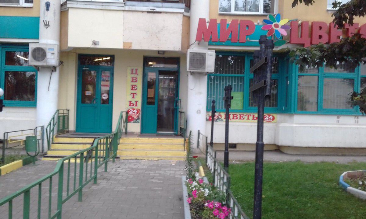 Зубок