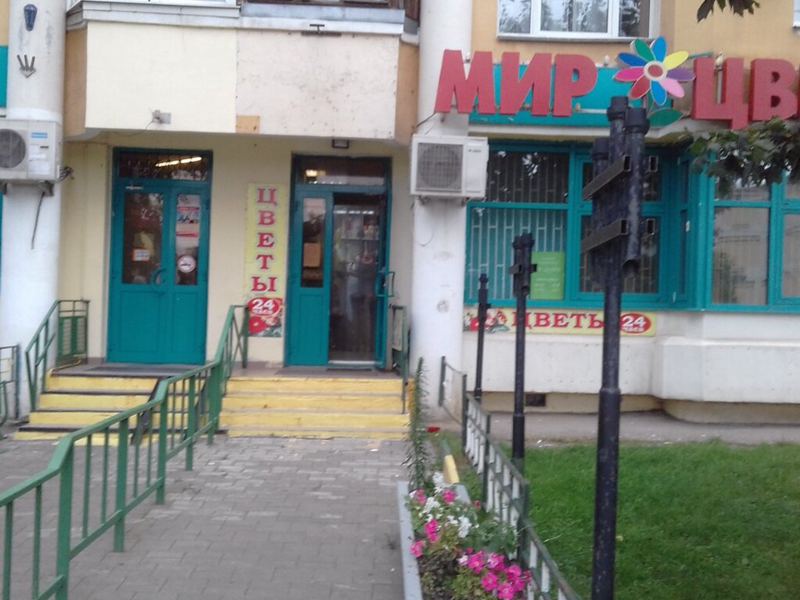Зубок
