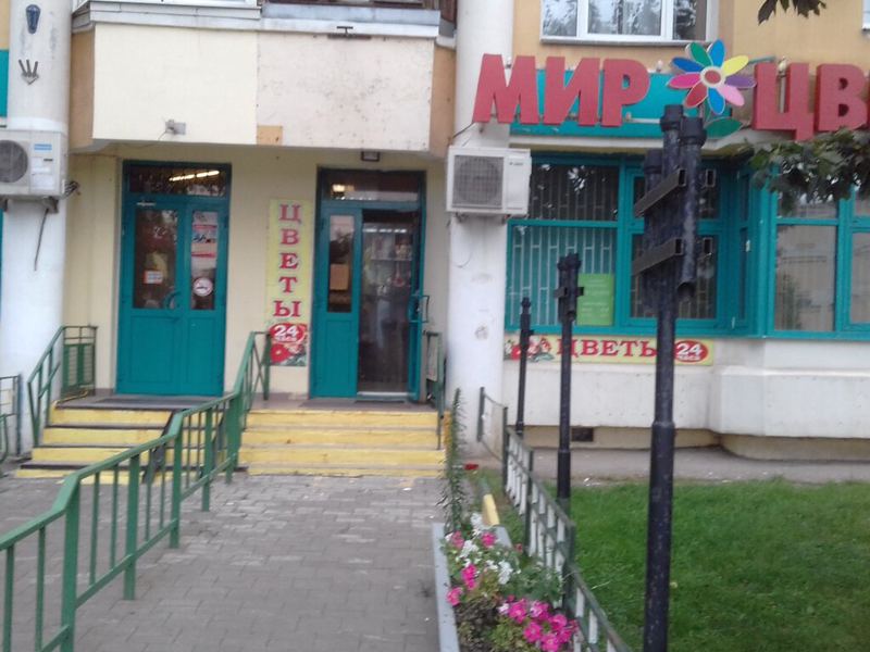 Зубок