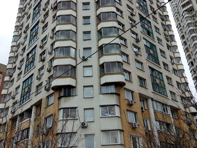 Зубок