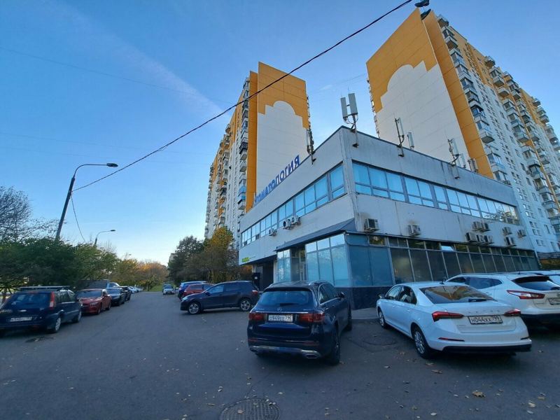 Новодента