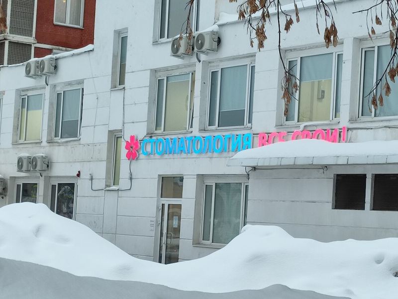Все свои