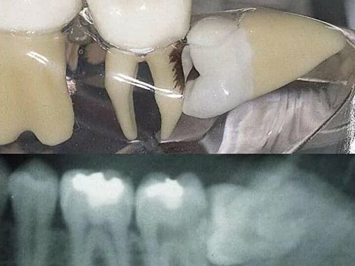 Happy Dental