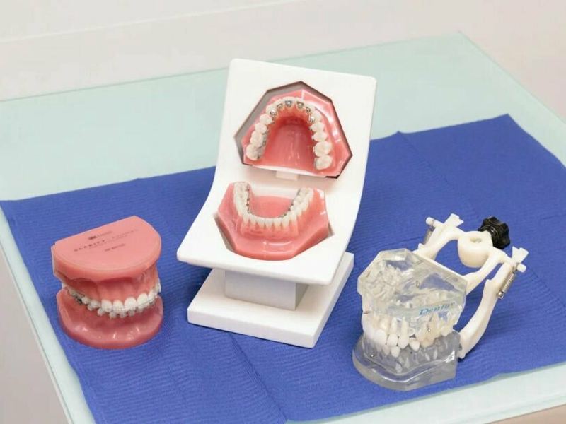 Gms Dental