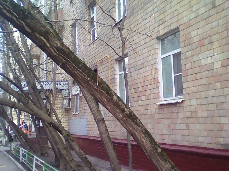 АльфаДент