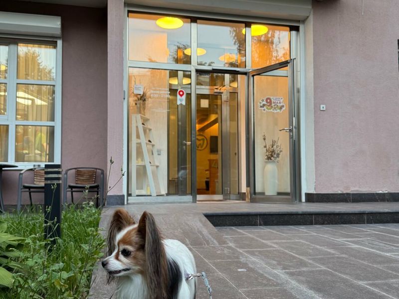Стоматология 401