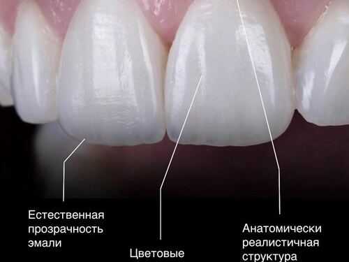 Доктор Куров