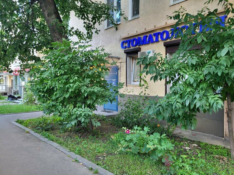 Артдент