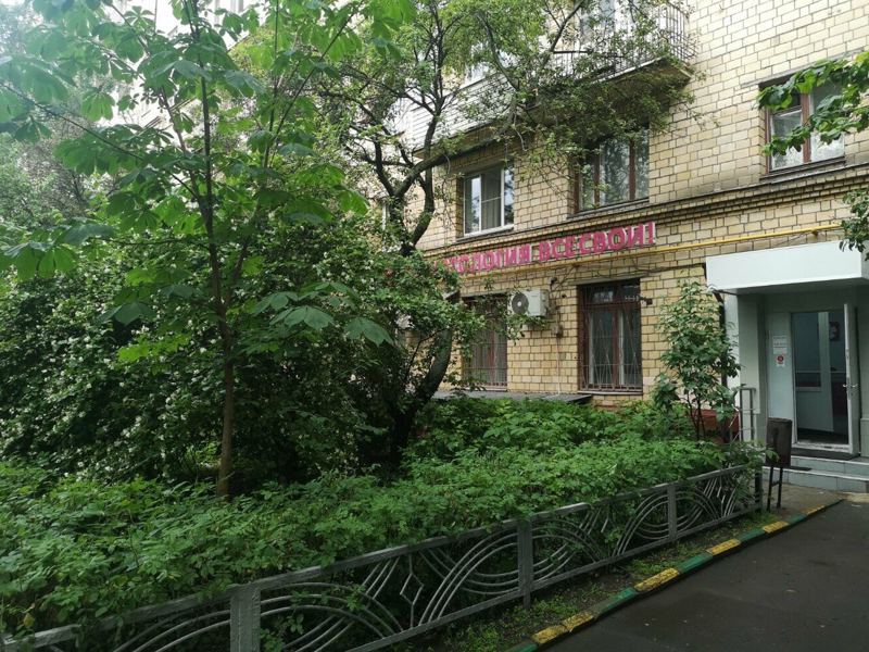 Все свои