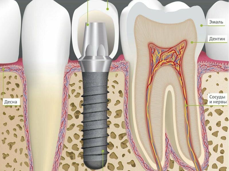 S. E. Dental Clinic