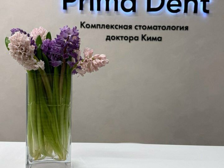 Прима Дент