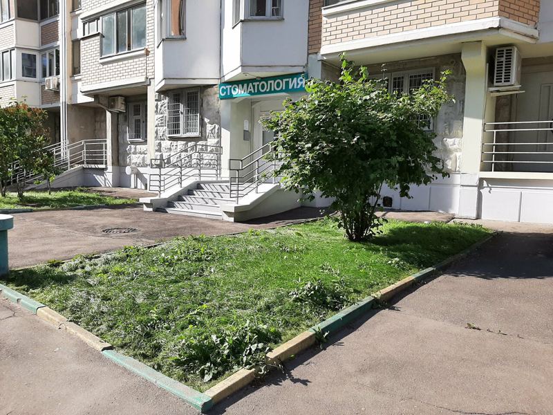 32 Плюс