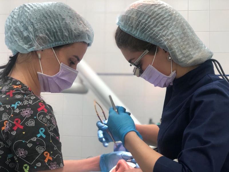 Дока-Дент