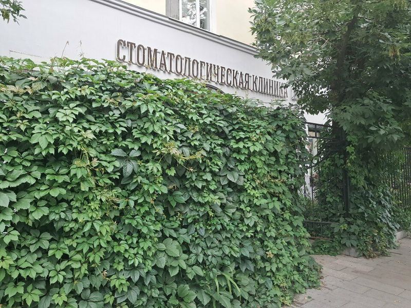 Трайдент