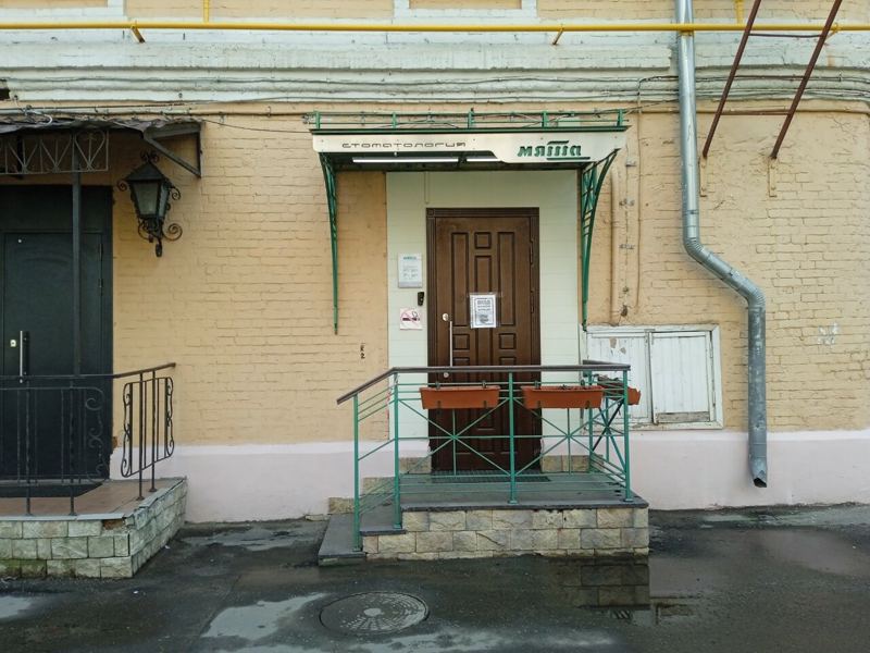 Мята