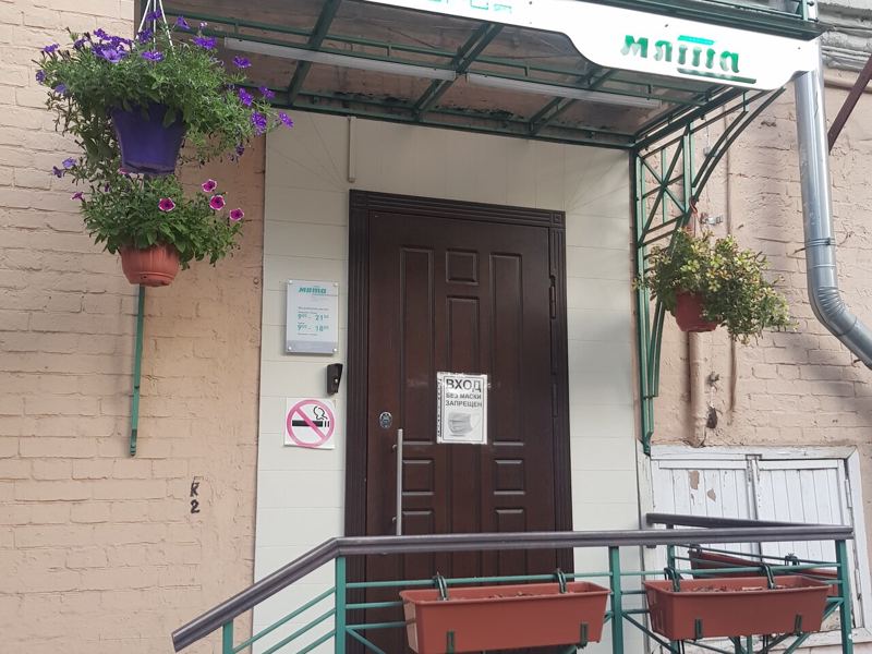 Мята