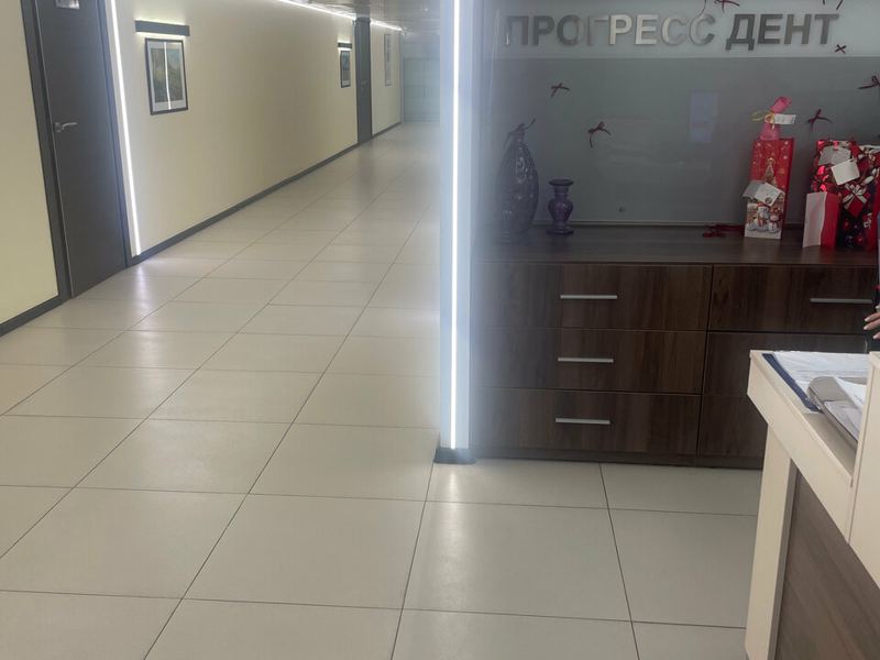 Прогресс дент