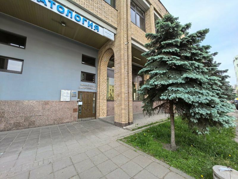 Прогресс дент