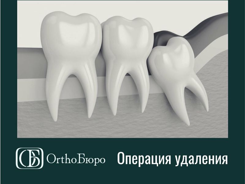 Ortho Бюро
