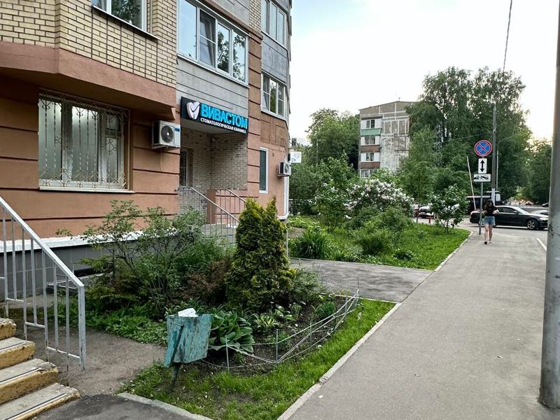 VivaStom