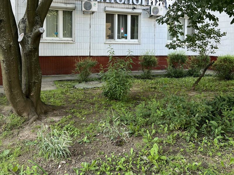 Стоматология Семейных Скидок