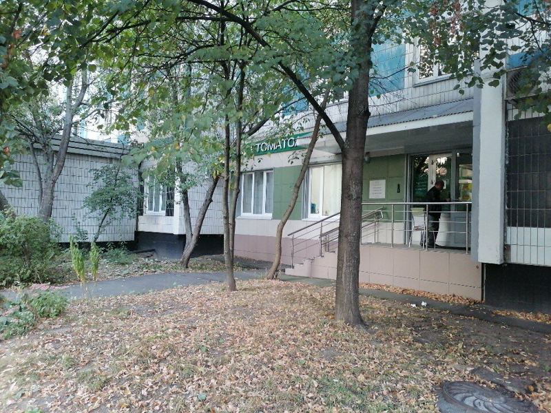 Совершенная улыбка