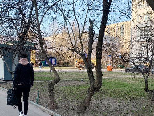 Медэко